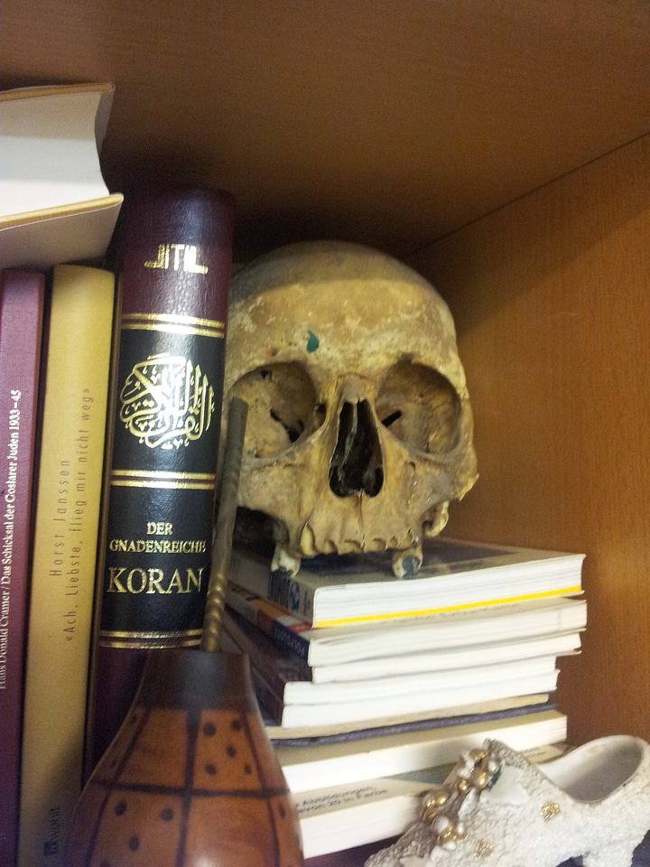 Skull and other relics from an artists atelier No.2