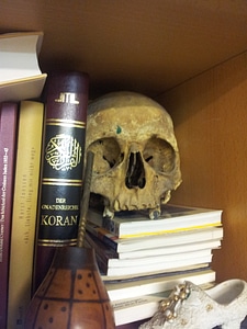 Skull and other relics from an artists atelier No.2