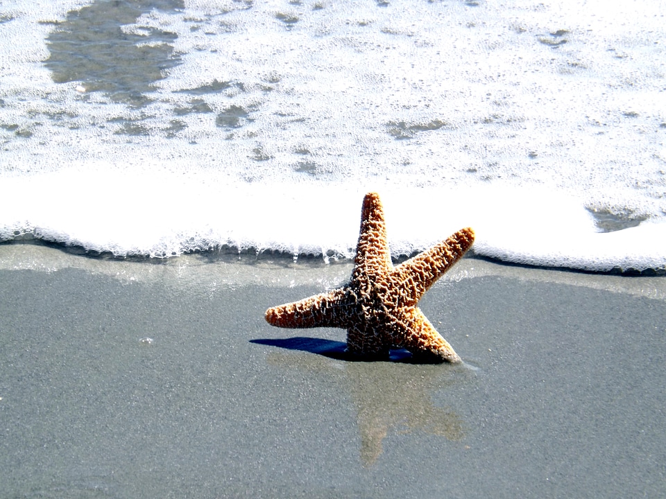 Sea summer beach photo