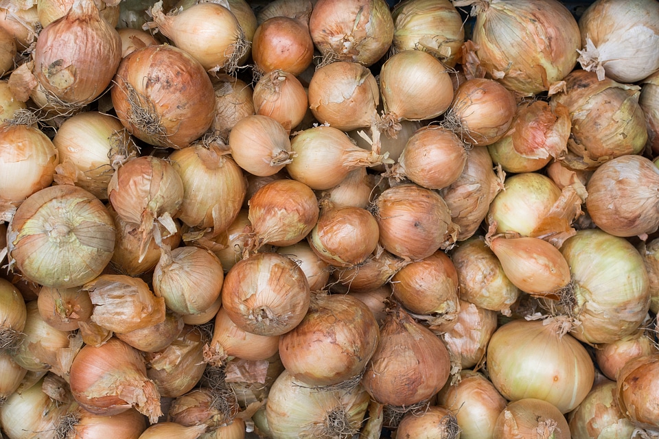 Onions on onions on onions