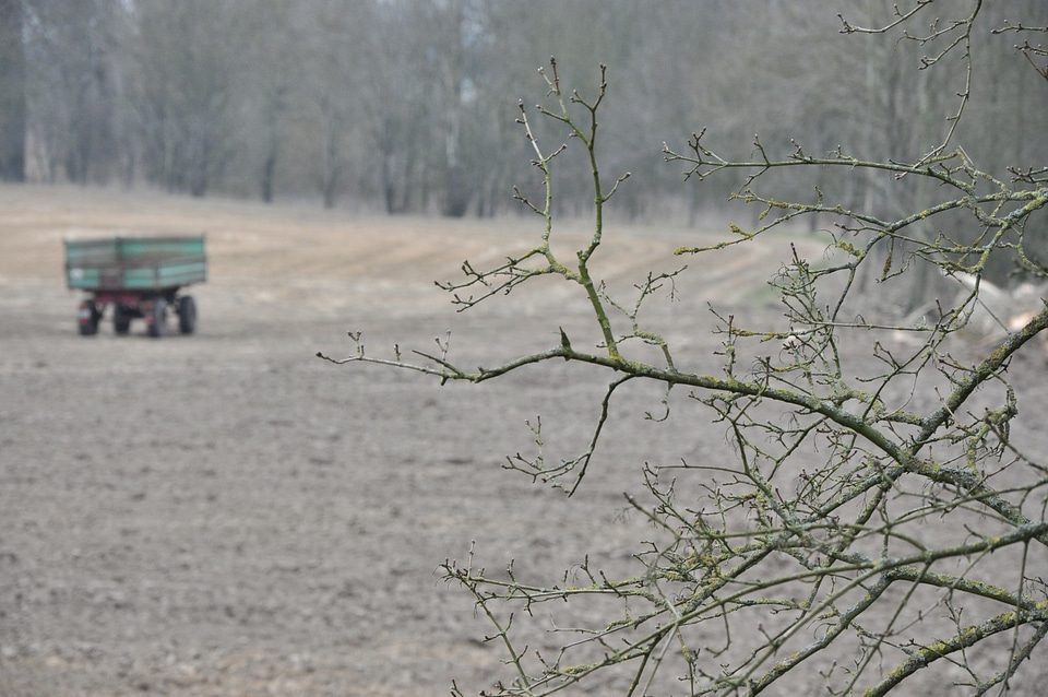 Farm trailer on field No.1