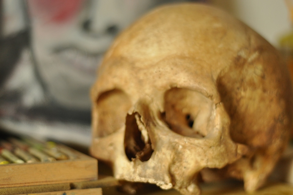 Human skull in front of painting