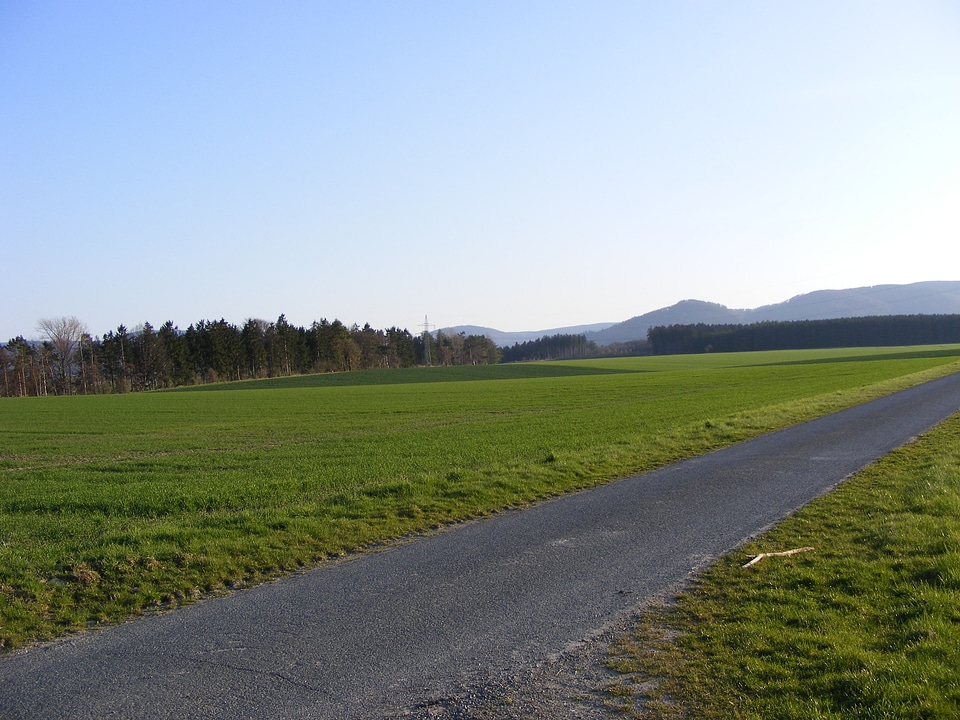 Small road between green fields