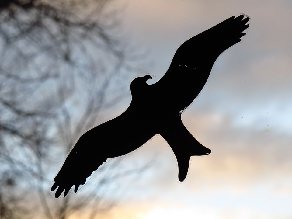 Black outline silhouette
