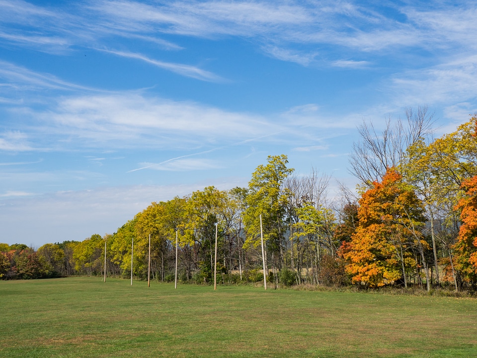 Field and Trees with Leaves Over Blue Sky photo
