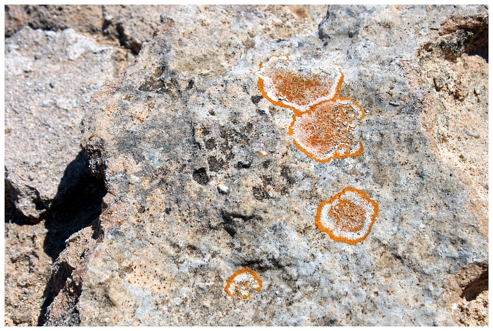 Yellowish stones close up