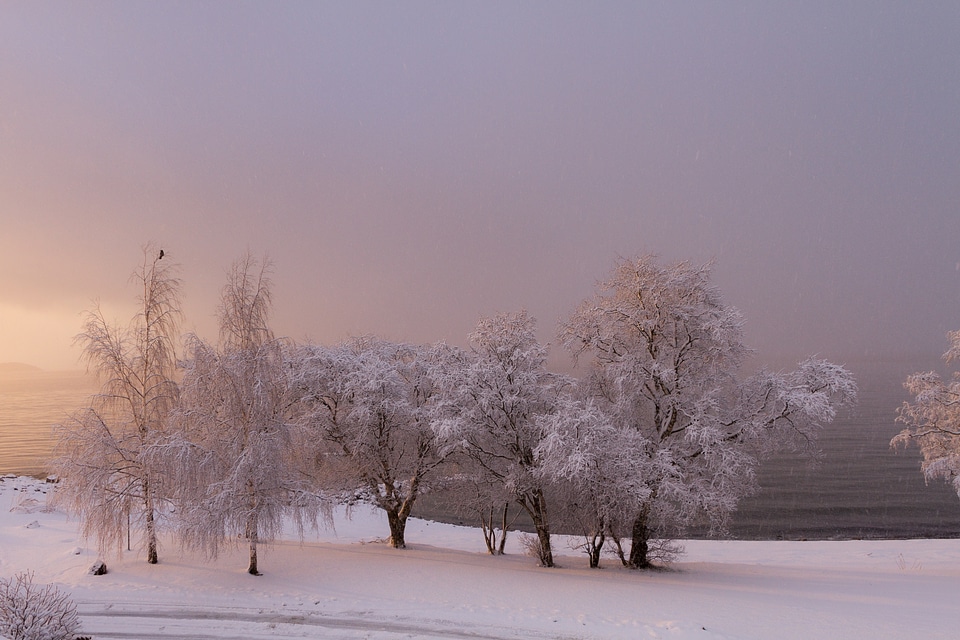 Shore norway cold