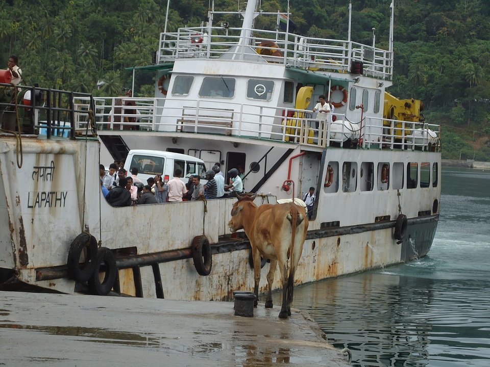 Bay passenger transport