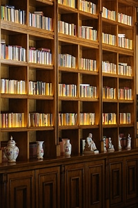 Library home bookshelf