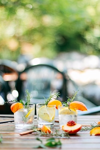 Tonic with fruits and rosemary