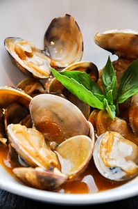 Clams with salsa close up photo