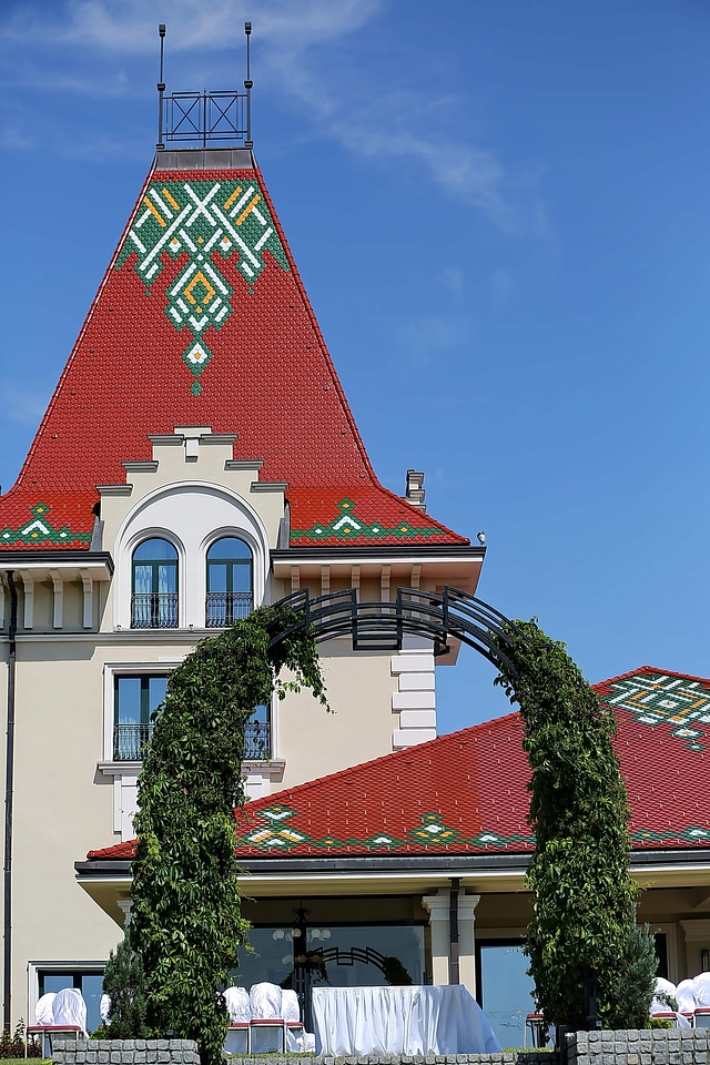Fancy roof house