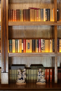 Library books bookshelf
