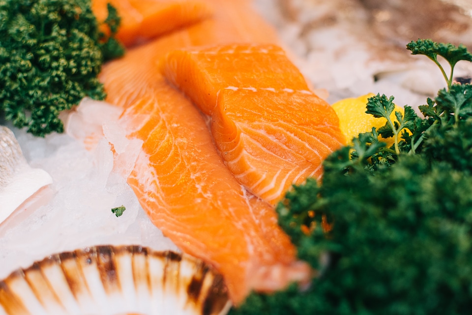Fresh salmon fillet