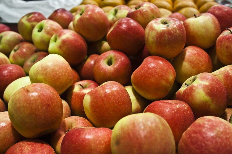 Crop healthy organic