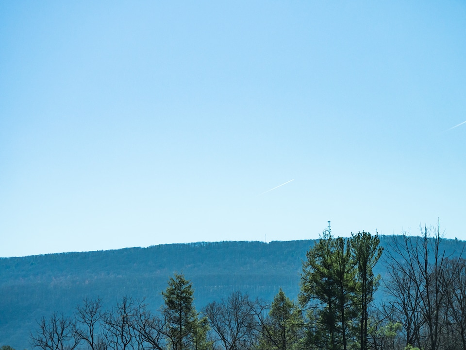 Mountains and Trees