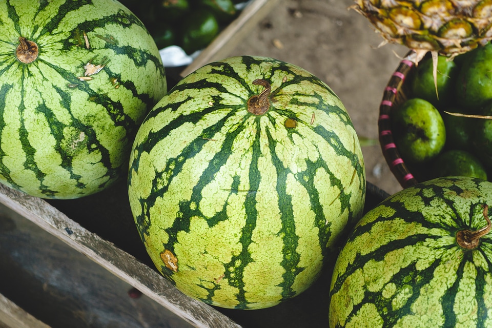 Fresh watermelon at a market