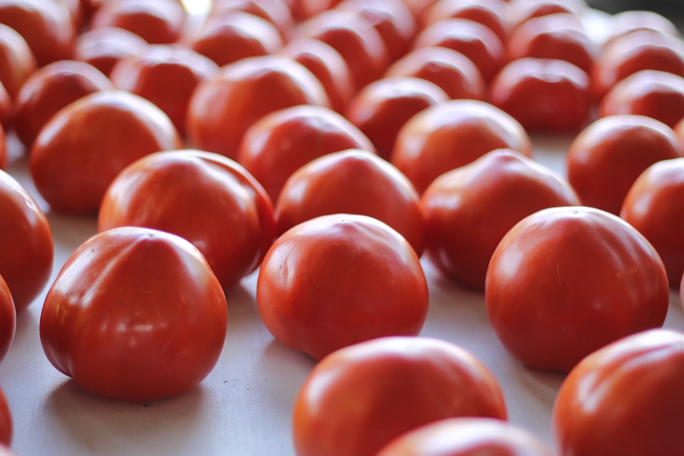 Vegetable agriculture freshness