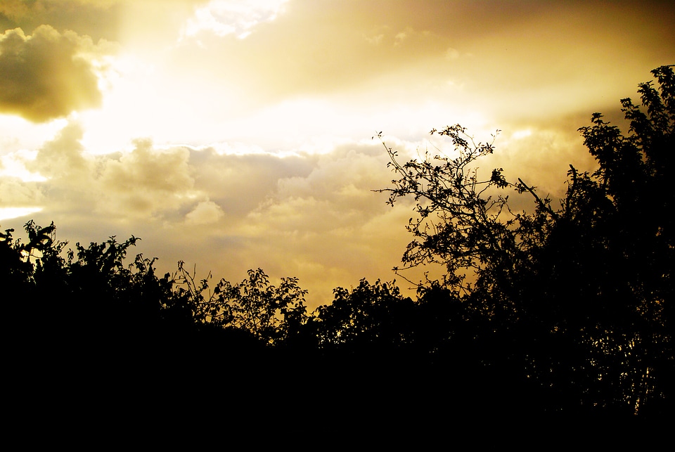 Landscape against day shades