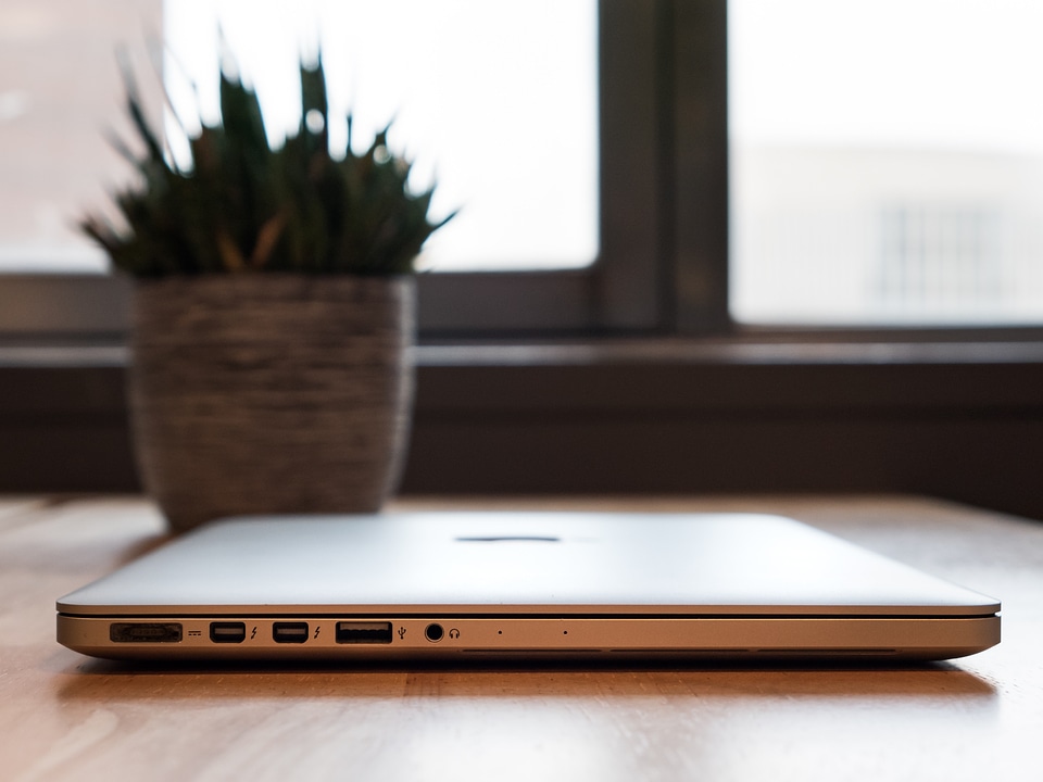 Laptop and Plant on Desk