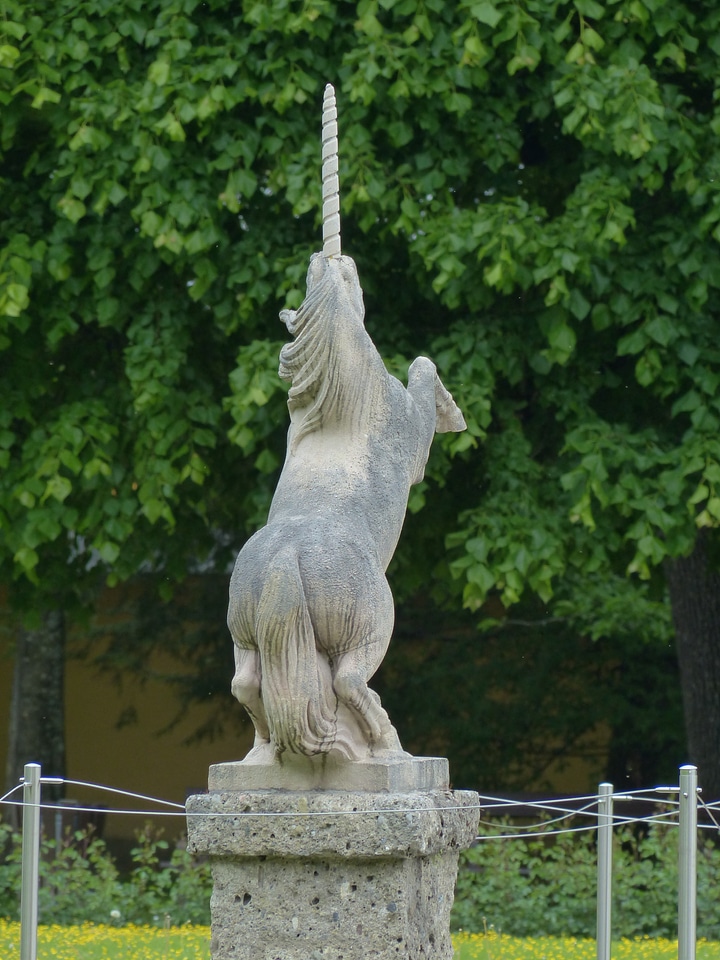 Horse ross hellbrunn
