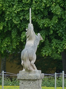 Horse ross hellbrunn