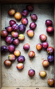 Fresh plums in a wooden box