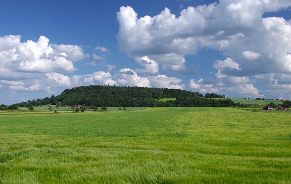 Clouds summer spring