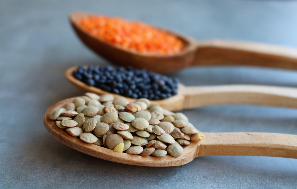 Lentils in three colors