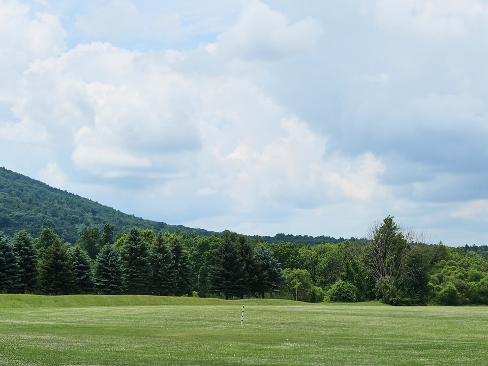 Trees and Mountains Landscape