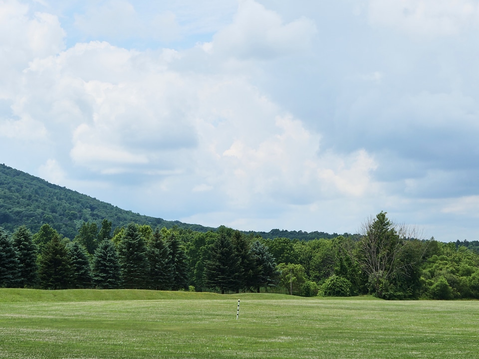 Trees and Mountains Landscape photo