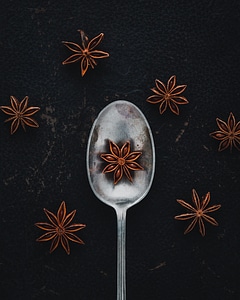 Star anise on a spoon photo