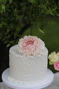 Wedding wedding cake dessert