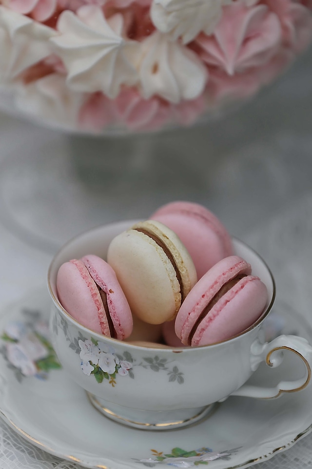 Biscuit food cup