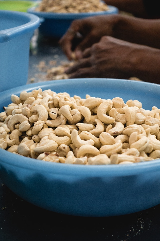 Woman peeling cashew nuts