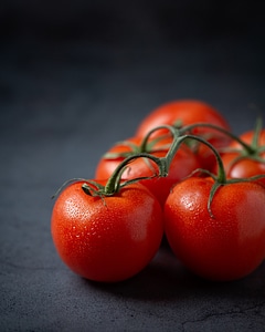 Cherry tomatoes macro photo