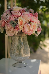 Roses crystal pinkish photo