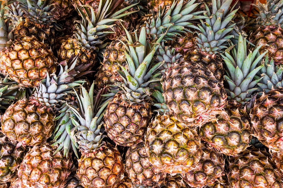 Pile of pineapples
