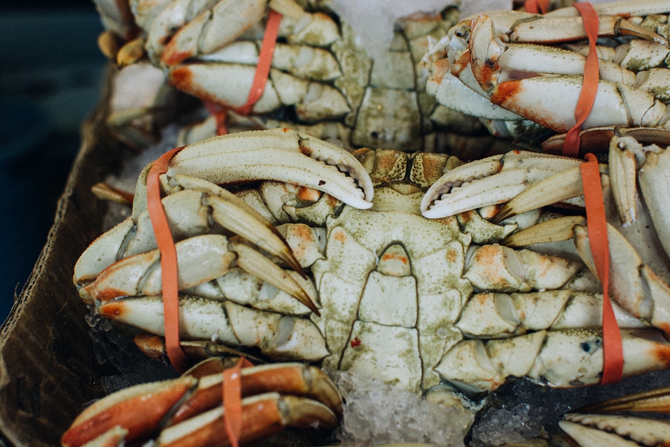 Sea crab at fish market