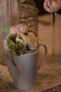 Vase pitcher white photo