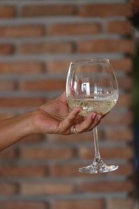 White Wine champagne glass photo