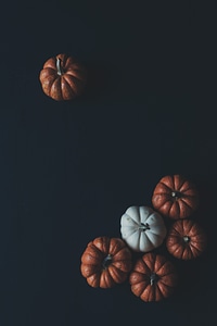 Pumpkins on Black Flat Lay photo