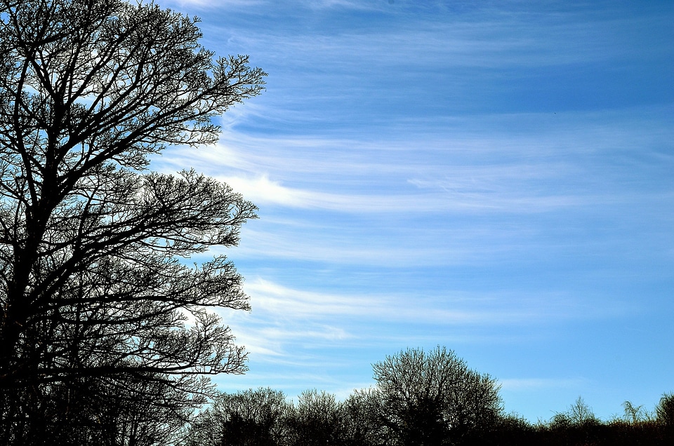 Nature spring sky