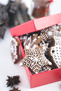 Traditional Christmas gingerbreads in a red paper box