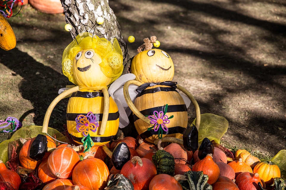 Maya the Bee and Willy Made of Pumpkins photo