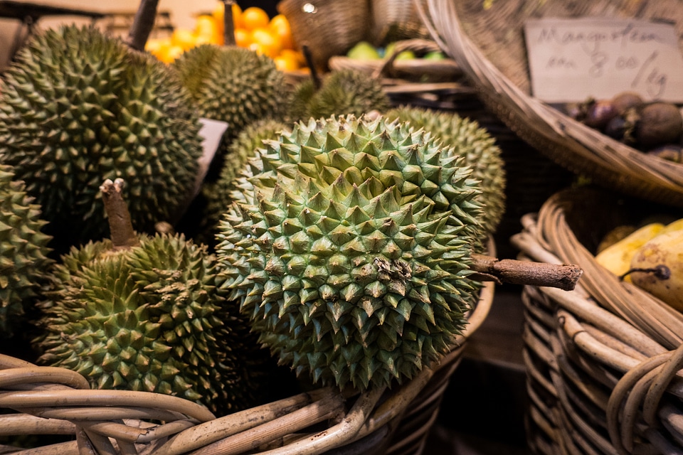 Tropical durian in basket