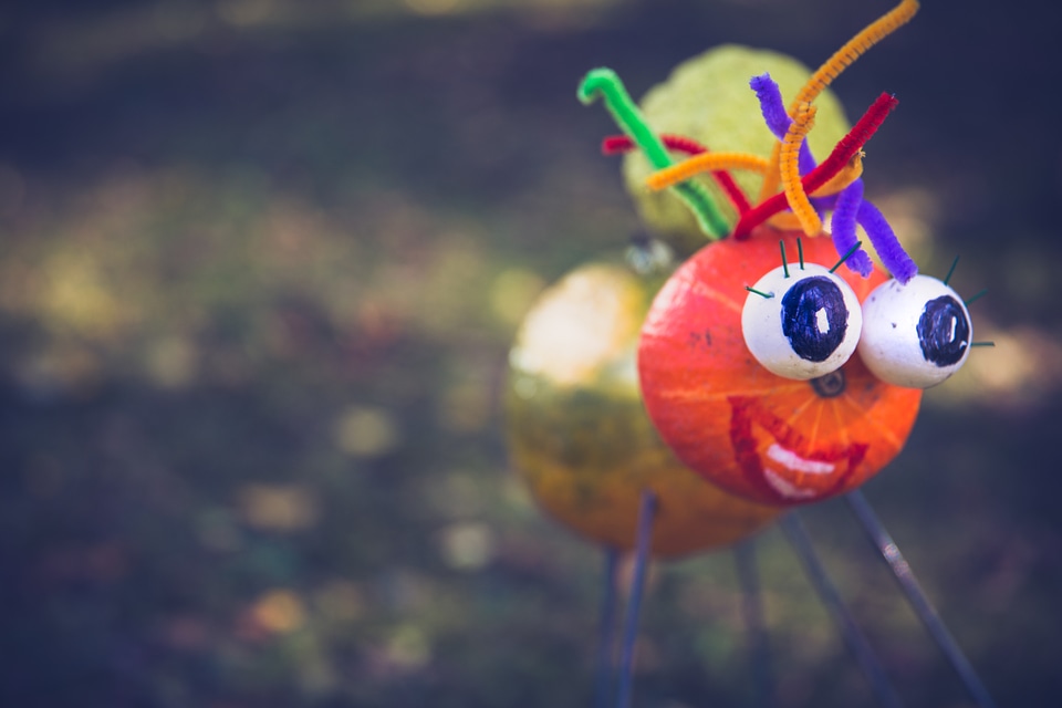 Smiling Pumpkin Creature photo