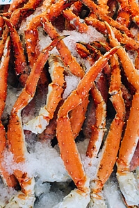Crab claws close up