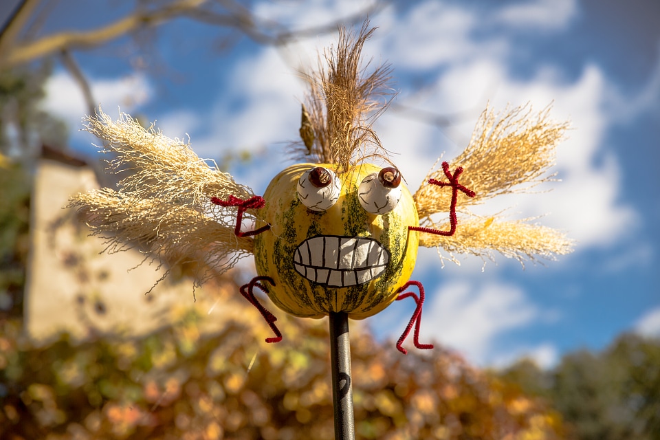 Funny Pumpkin Creature with Wings photo