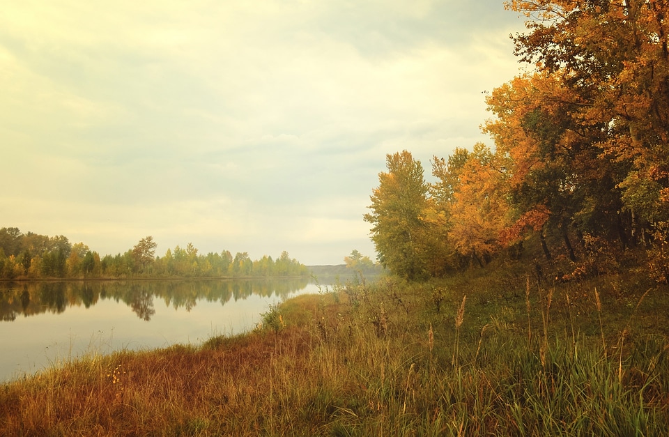 Colorful lonely autumn